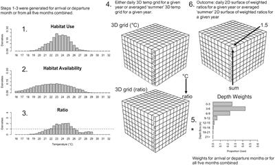 Estimating Shifts in Phenology and Habitat Use of Cobia in Chesapeake Bay Under Climate Change